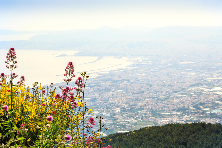 Da Napoli trasferimento semplice + biglietto e audioguida per il Vesuvio