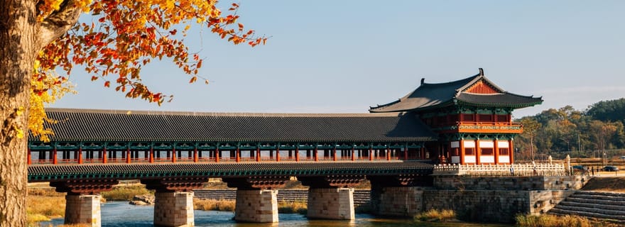 Busan : excursion d'une journée à Gyeongju pour admirer les couleurs de l'automne et visiter des sites historiques
