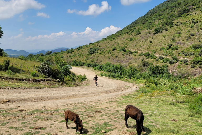 From Oaxaca: MTB Guided Ride to Teotitlan del Valle