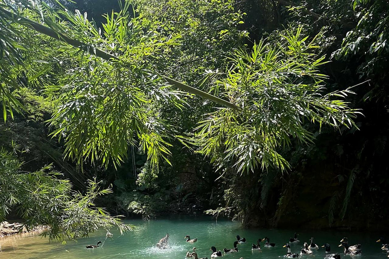 Guangzhou Nature Escape: Forest Park, Waterfalls & Hiking