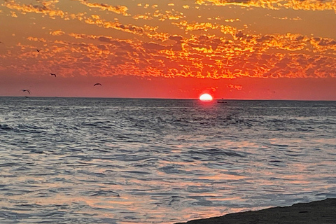 Desde Huatulco: Excursión Ecológica Cocodrilos y TortugasServicio Privado en Vehículo Avanza