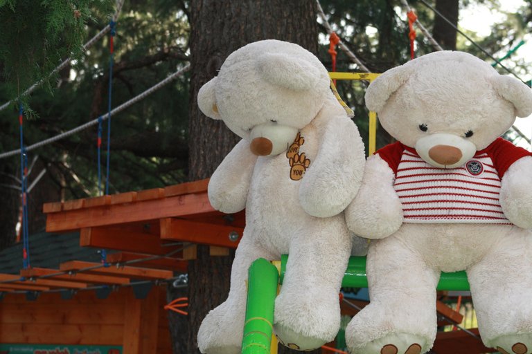 تبليسي: جولة في أساطير وخرافات ماتسمينداتجربة سفر خاصة