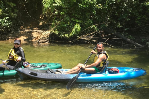 Santos: Geführte Kajaktour im Herzen des State ParksSao Paulo: Geführtes Kajak im Herzen des Staatsparks