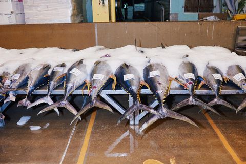 Sydney Fish Market Behind the Scenes Tour
