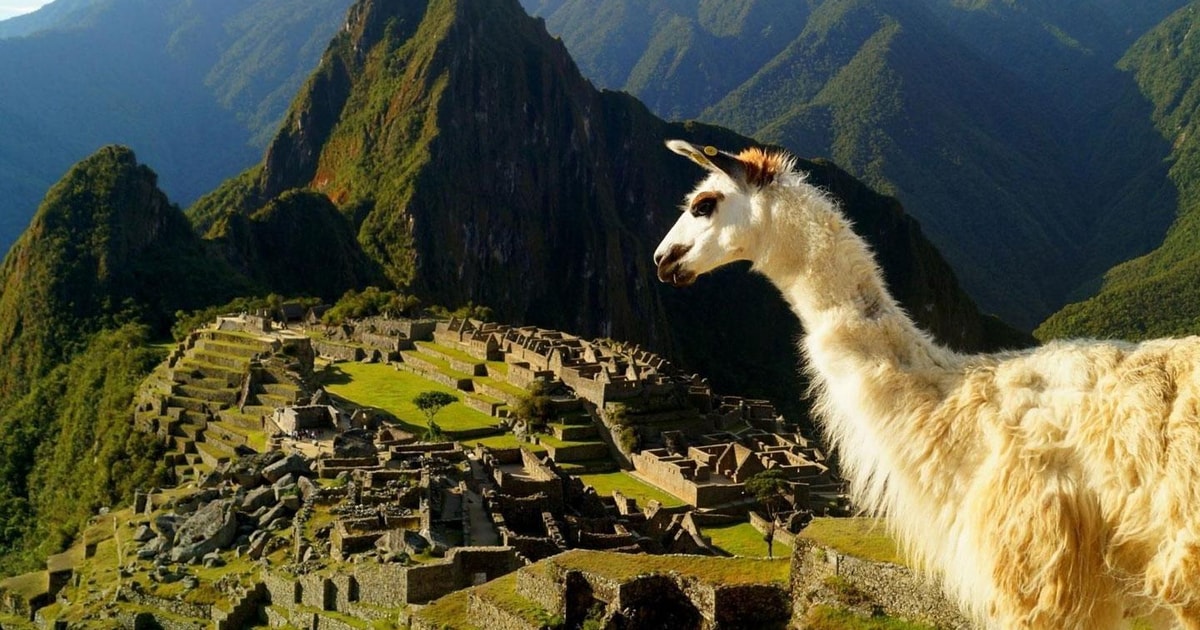 Discover Machu Picchu Guided Group Tour Historic Site Getyourguide