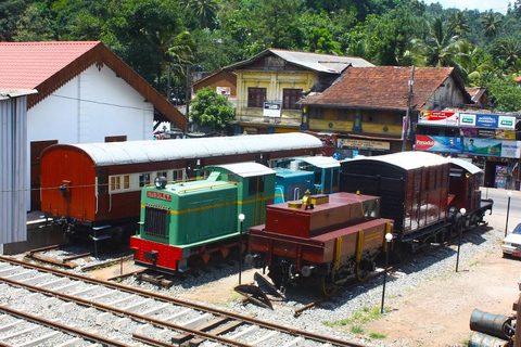 Pinnawala & Tea Factory & Kandy Full Day Tour from Negombo By Private Air Conditioned KDH Flat Roof Van