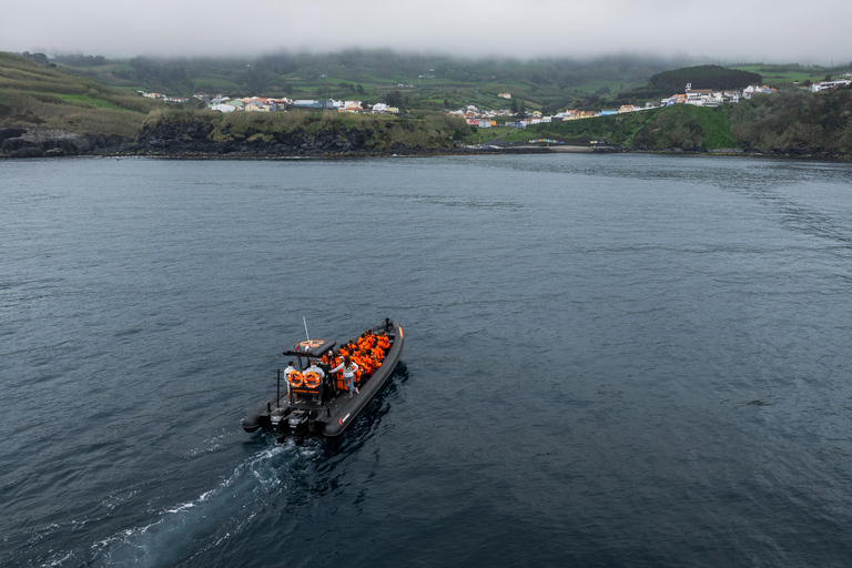 Isla de São Miguel: tour en barco por la costa norte salvajeRecorrido por la costa salvaje del norte - Tarde