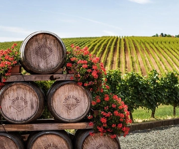 From Tbilisi: Kakheti Day Trip with Wine Tasting & Lunch