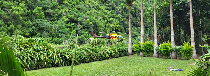 Vol en hélicoptère cascades et bassins de La Réunion avec repas
