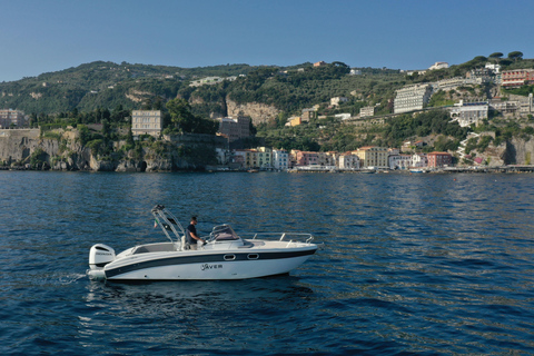 From Sorrento: Private Capri Tour Next 22 Up to 5 people
