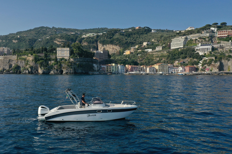 From Sorrento: Private Capri Tour Next 22 Up to 5 people
