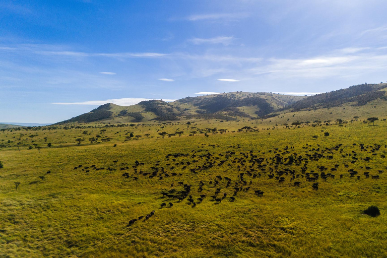 From Zanzibar: 2-Day Serengeti Park Safari Tour with Flights