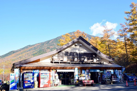 Desde Tokio: Excursión de 1 día a Nikko, Patrimonio Mundial de la UNESCORecogida en la estación de Shinjuku a las 8:30 AM