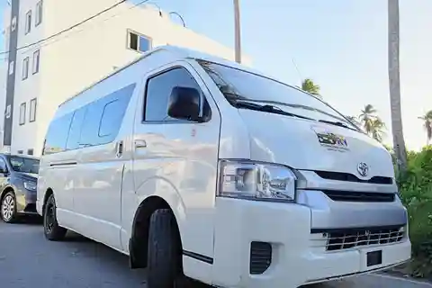 Serviço de transporte particular do aeroporto de Punta Cana