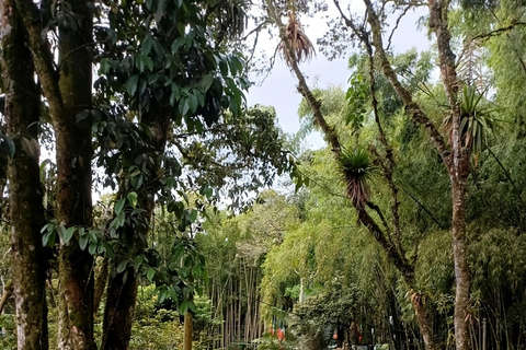 PEREIRA: VISIT TO THE SANCTUARY OF THE VIRGIN OF JORDAN + TRANSPORTATION AND LUNCH