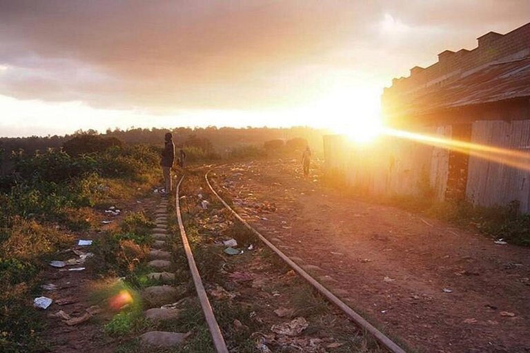 Nairobi: Kibera Slum Tour And Community Visit