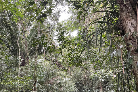 From Paraty to Ubatuba: Forest Trip with a Biologist