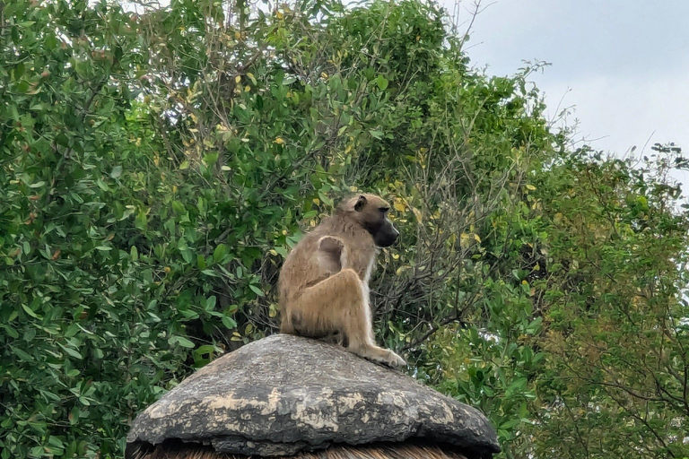 Victoria Falls: Family-Friendly Guided Walking Tour