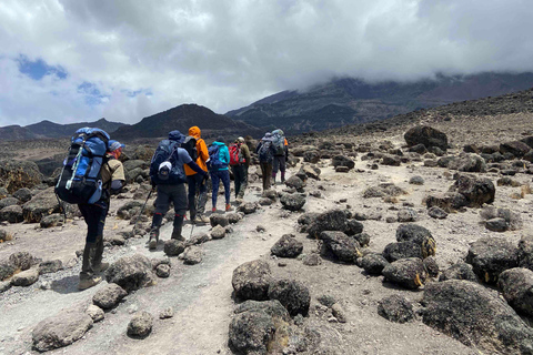 Climb Kilimanjaro for 7 Days Machame Route