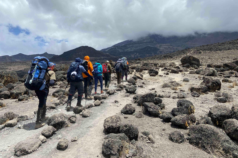 Climb Kilimanjaro for 7 Days Machame Route