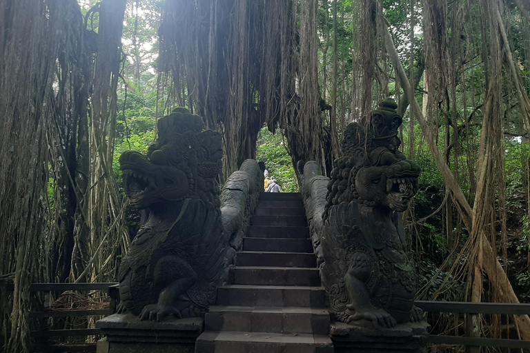 Ubud: Foresta di scimmie, terrazze di riso e cascateUbud: Foresta di scimmie, terrazza di riso e cascata