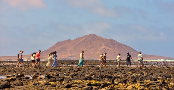 Sal Island Full-Day Tour + Lunch, Tickets and Skip-the-Line