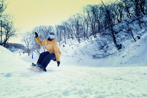 أوساكا: جولة ليوم واحد للتزلج الشتوي في وادي شيغا بيواكوج (التزلج + المصعد + الملابس)