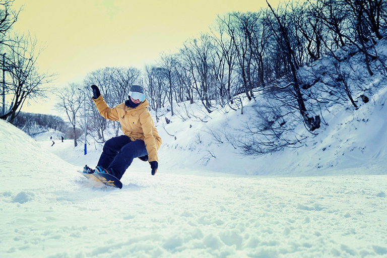 أوساكا: جولة ليوم واحد للتزلج الشتوي في وادي شيغا بيواكوج (التزلج + المصعد + الملابس)