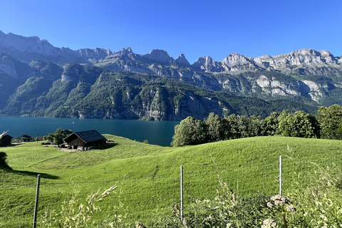 From Zurich: 4 Nations, 3 Lakes, 2 Castles, & Rhine Falls Private V-Class: 4 Nations, 3 Lakes, 2 Castles & Rhine Falls