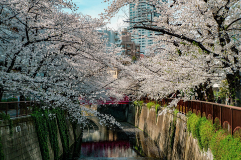 Tokyo: Nakameguro Sakura Riverside Walk with Street Stalls