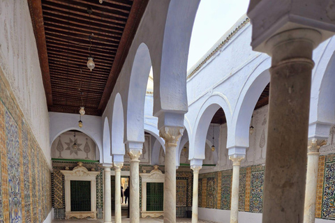 Excursión de un día a Cartago y Sidi Bou Said