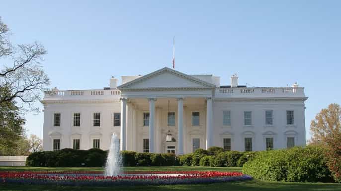 dc it all! washington dc in one day sightseeing tour