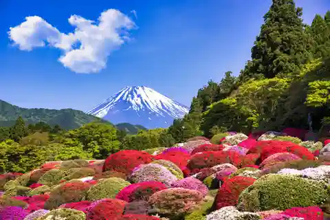 Tokyo : HAKONE x 3XPERIENCE's+OWAKUDANI+GOTEMBA (1 day tour)