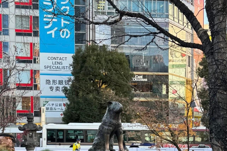 Tokyo Luxury Private City Tour Customizable with Guide