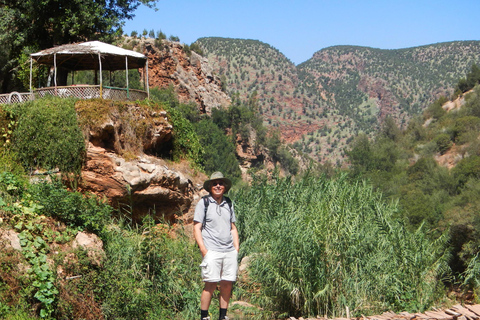 Agadir/Taghazout: Tour della Valle del Paradiso di mezza giornata con pranzoTour senza pranzo