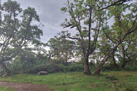 À la conquête du mont KenyaTraversée de 4 jours de Chogoria à Sirimon