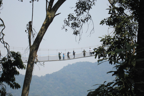 Kigali: 7-Day Safari, Wildlife Immersion, Big 5 to Gorillas