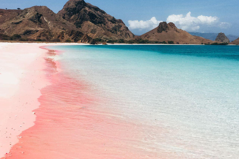 Eintägige Komodo-Tour mit dem Schnellboot