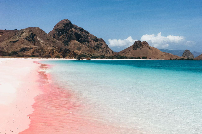 Eintägige Komodo-Tour mit dem Schnellboot