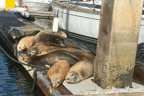马里纳德尔雷：1小时游船之旅玛丽娜德尔雷：1小时游船之旅