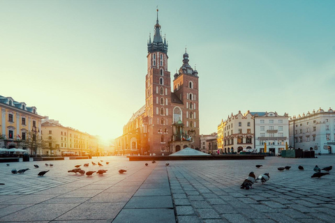 St. Mary's Basilica and more - a short walk with a guide German tour