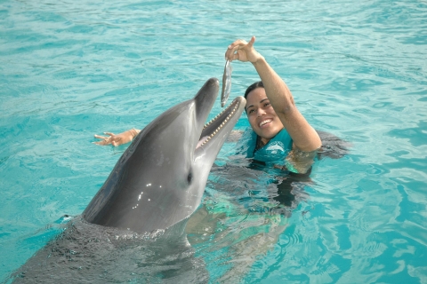 Puerto Plata Ocean World Dolphin Swimstandard Option