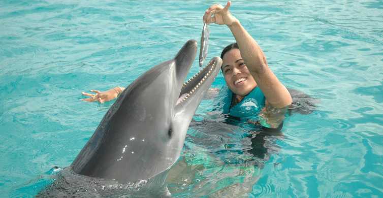 Puerto Plata Ocean World Dolphin Swim