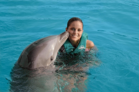 Puerto Plata Ocean World Dolphin Swimstandard Opcja