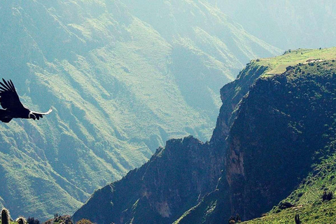 Trekking dans le Canyon de Colca de 2 jours et 1 nuit