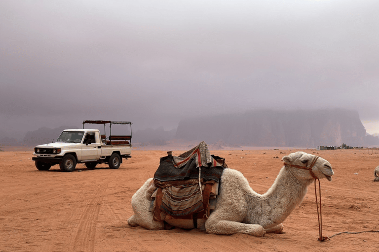 Wadi Rum: Bedouin Camp, Fire Dinner & Desert Experience