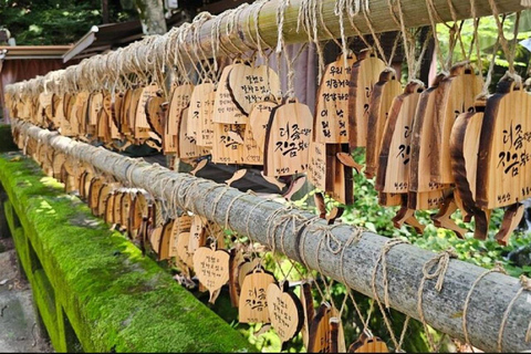 From Busan: Hidden Buddhist Temples Tour Private Day Trip 4-hour Seokbulsa & Hongryongsa Temple Tour