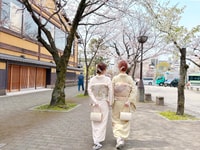 Kawagoe, Kimono Rental Experience at WARGO - Housity
