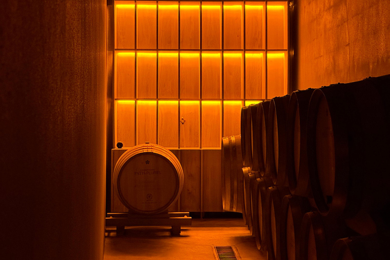 Le Lavoir: Cellar tour & tasting in the vineyards with a winemaker Le Lavoir: Cellar tour & wine tasting in the vineyards with a winemaker