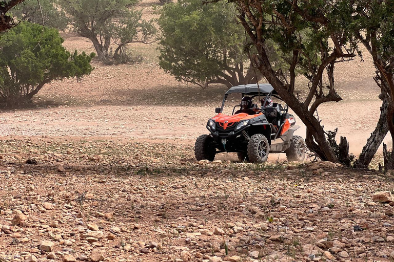 Agadir/Taghazout: Buggy, Goats in Argan Trees & Moroccan Tea Agadir: Buggy Adventure, Goats in Argan Trees & Moroccan Tea